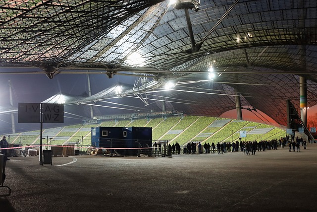 维拉重返欧 维拉重返欧