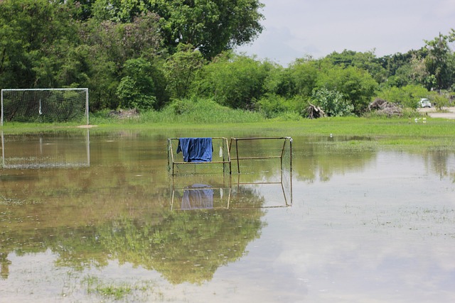 球员往往顾 球员往往顾