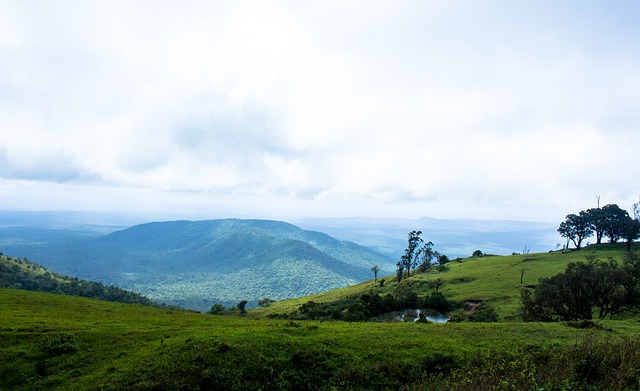 論員卡拉格 論員卡拉格