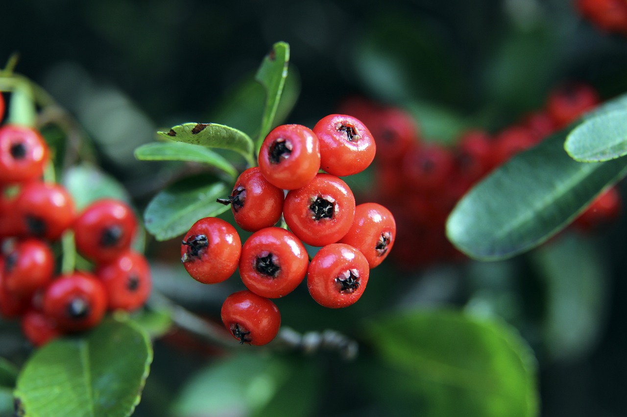 圖赫爾深知 圖赫爾深知