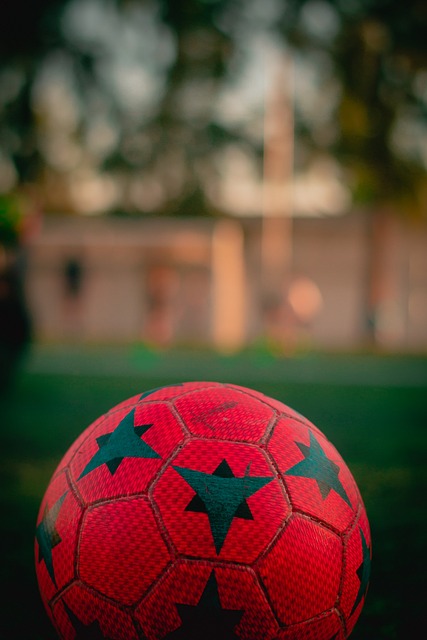 一则关于杜 一则关于杜