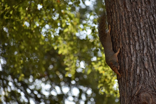 一度面临无 一度面临无